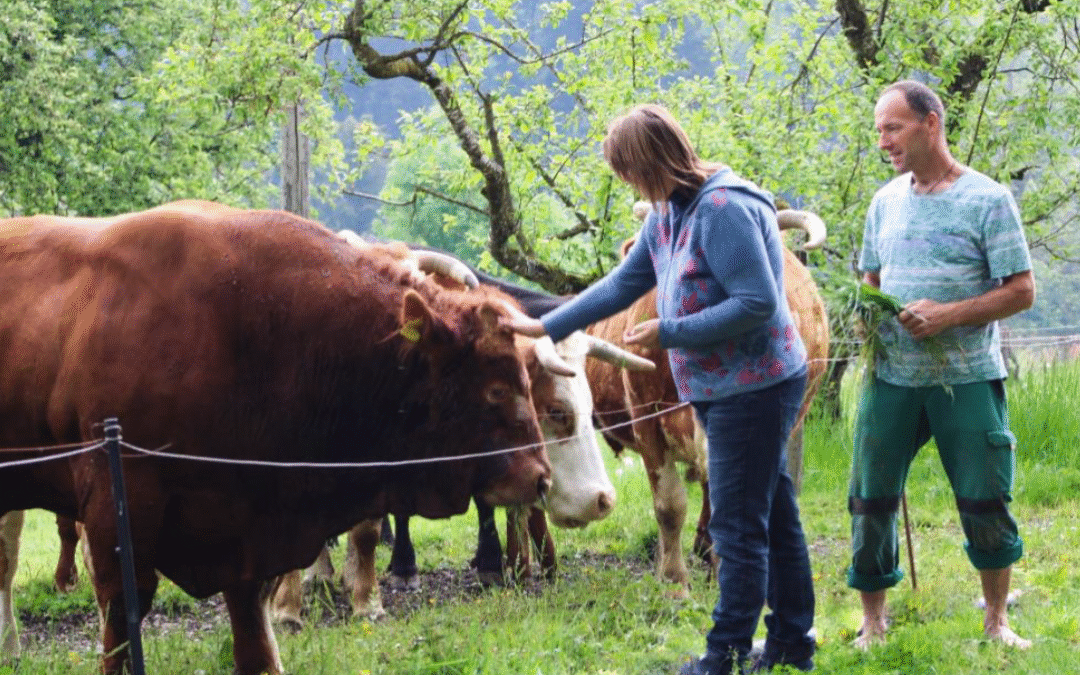 21. November 2025 | Vortrag Zwiespalt Landwirtschaft